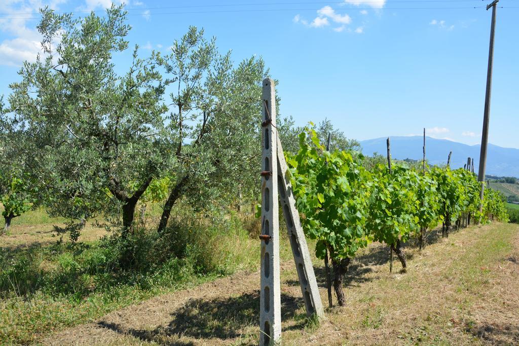 Casale Fusco Βίλα Σπολέτο Εξωτερικό φωτογραφία