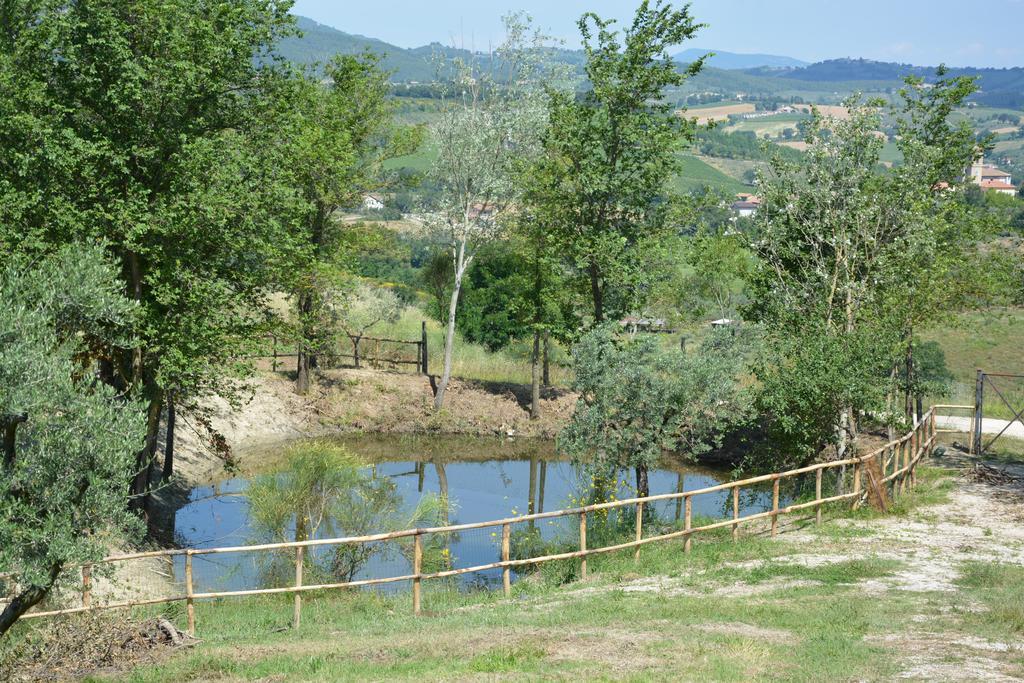 Casale Fusco Βίλα Σπολέτο Εξωτερικό φωτογραφία